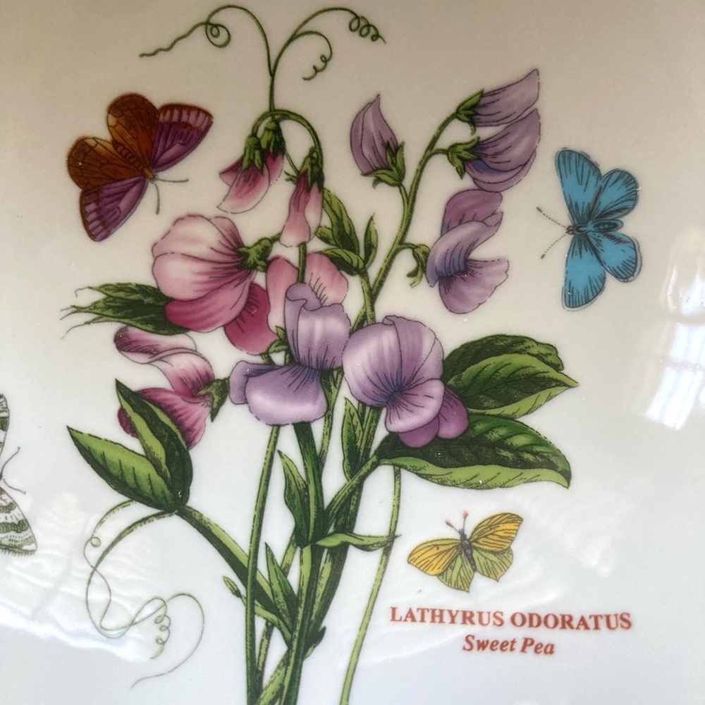 New Gift Boxed Portmeirion Botanic Garden scalloped edge footed bowl. - Picture 4 of 12